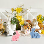 Easter Bunny Candle Moulds, 2 Pieces