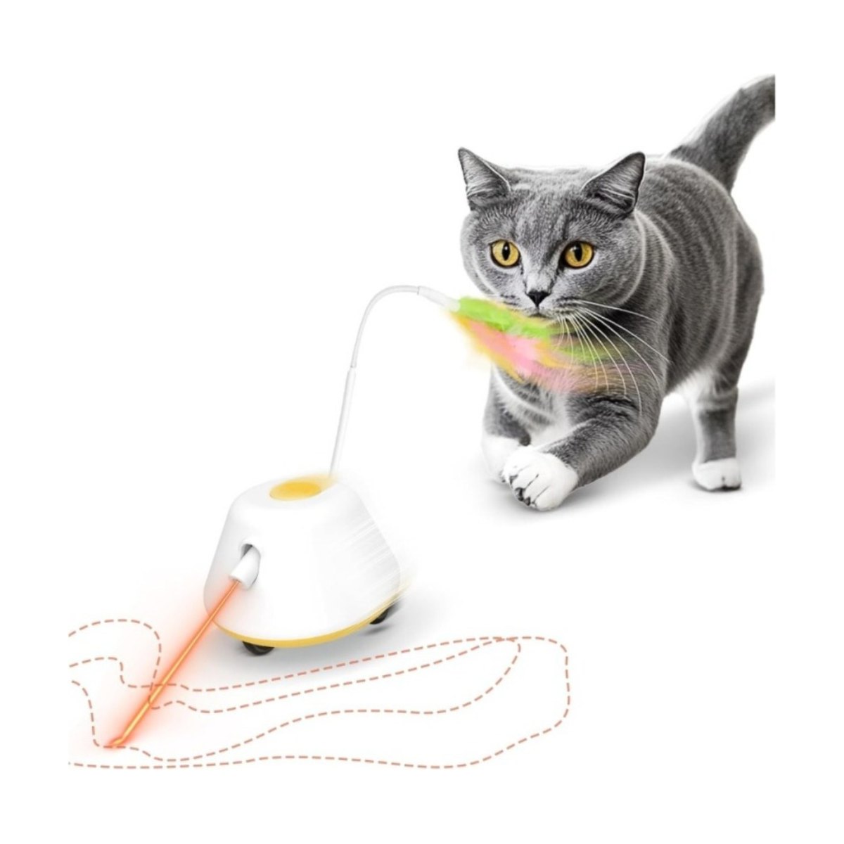 Feather Cat Toy