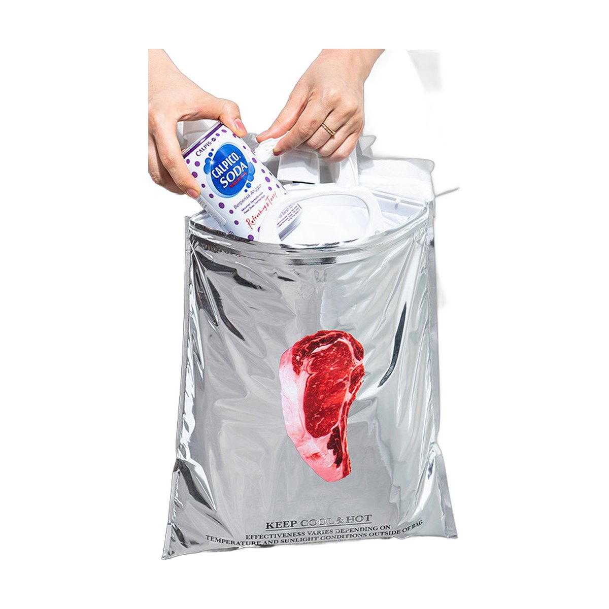 Food Cooler Bag Tote Portable Preservation Camping
