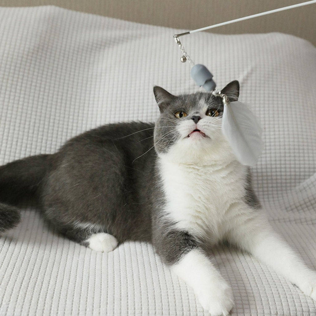 Funny Cat Rod Feather Infrared Fishing Interactive