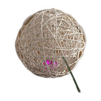 Funny Cat Toy Self-hey Ball