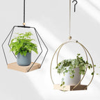 Hanging Flower Pot Plant Bracket Air Green