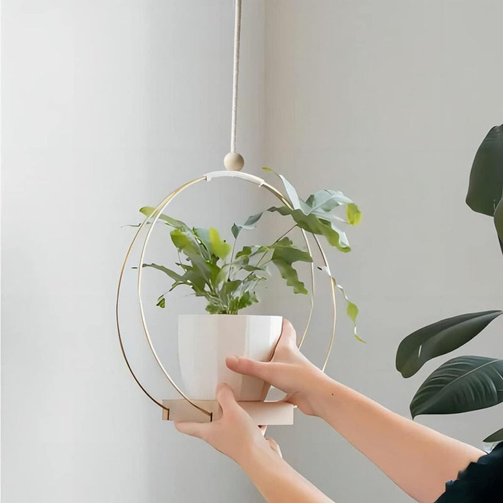 Hanging Flower Pot Plant Bracket Air Green