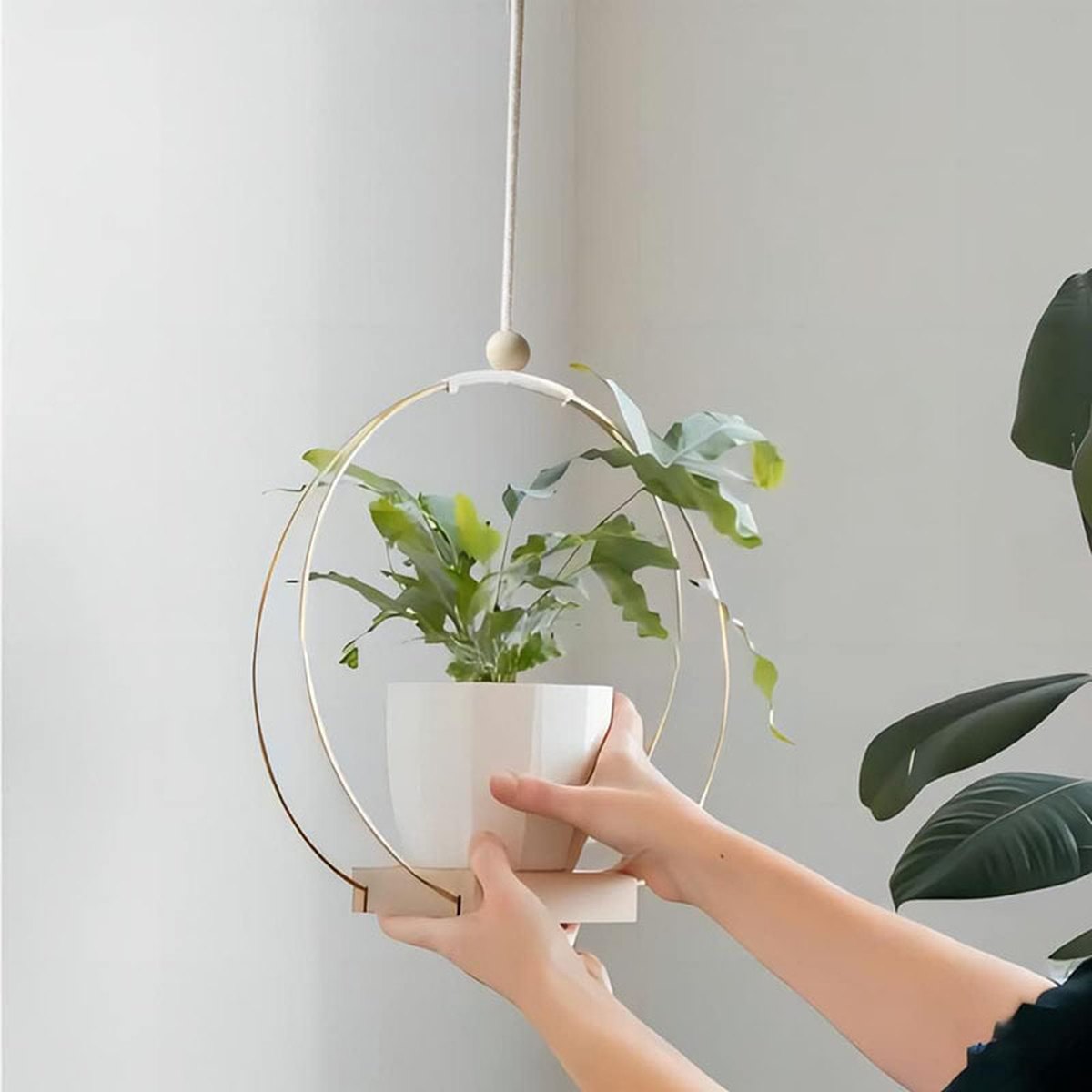 Hanging Flower Pot Plant Bracket Air Green
