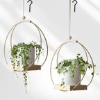Hanging Flower Pot Plant Bracket Air Green