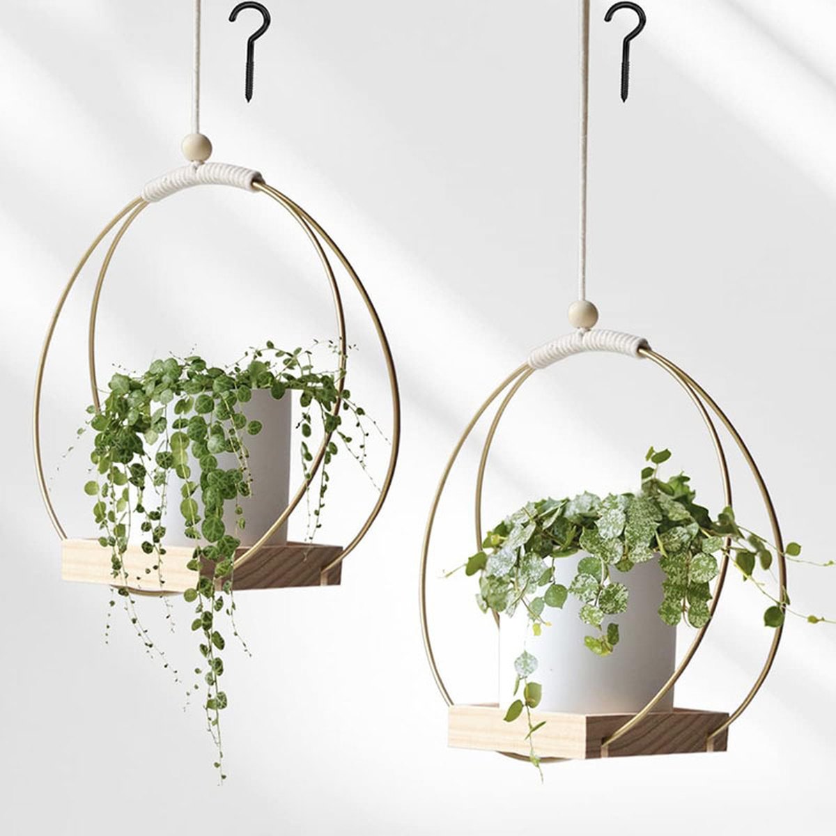 Hanging Flower Pot Plant Bracket Air Green