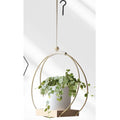 Hanging Flower Pot Plant Bracket Air Green