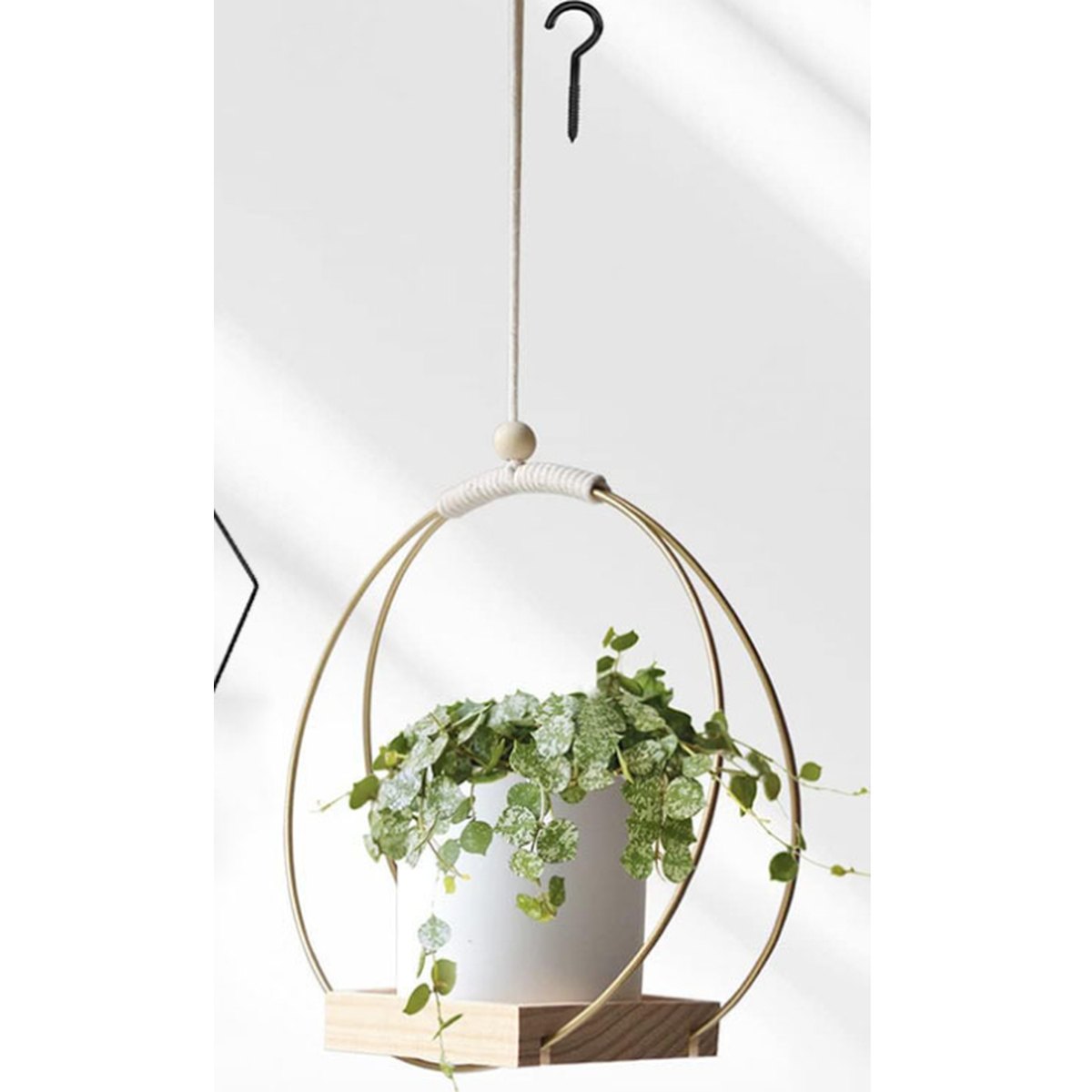 Hanging Flower Pot Plant Bracket Air Green