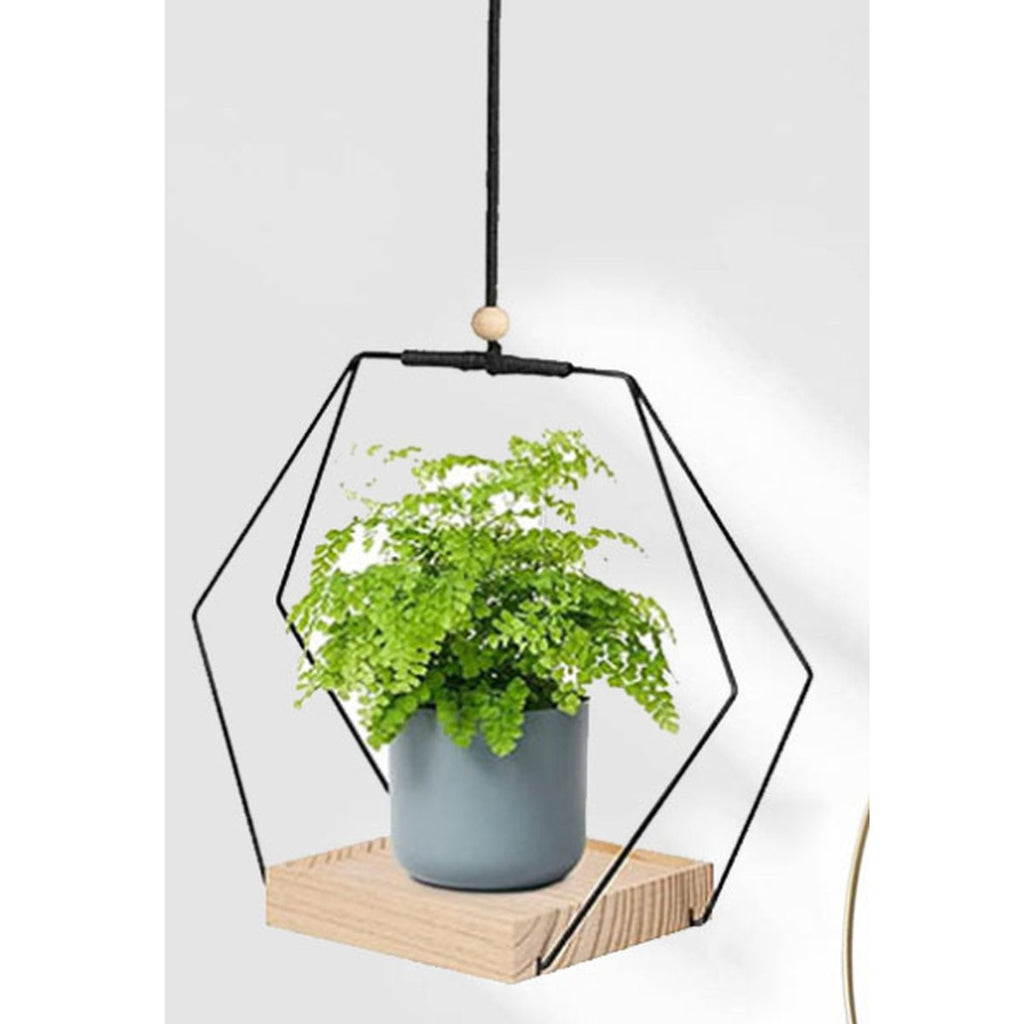 Hanging Flower Pot Plant Bracket Air Green