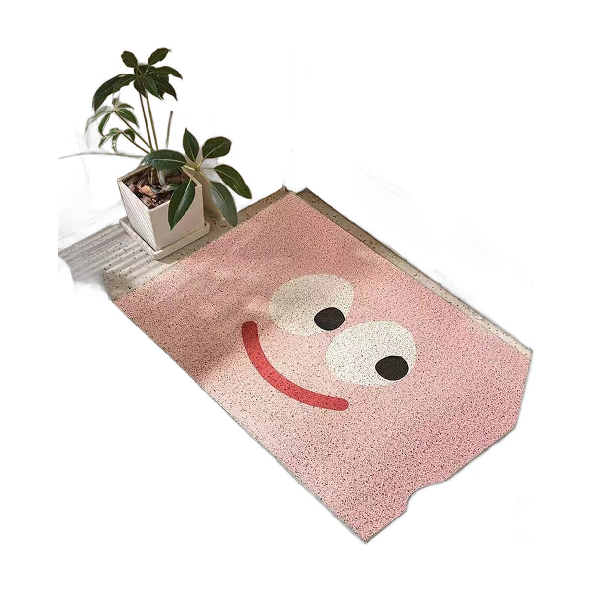 Household Entryway Mud Removing Doormat