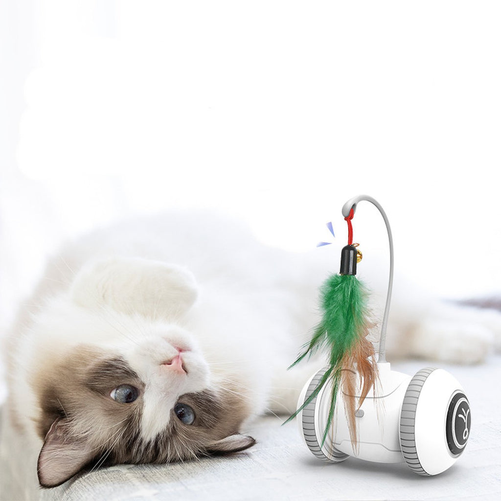 Interactive Cat Toy Interchangeable Heads Pet Feather