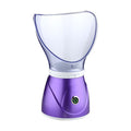 Ionic Facial Steamer