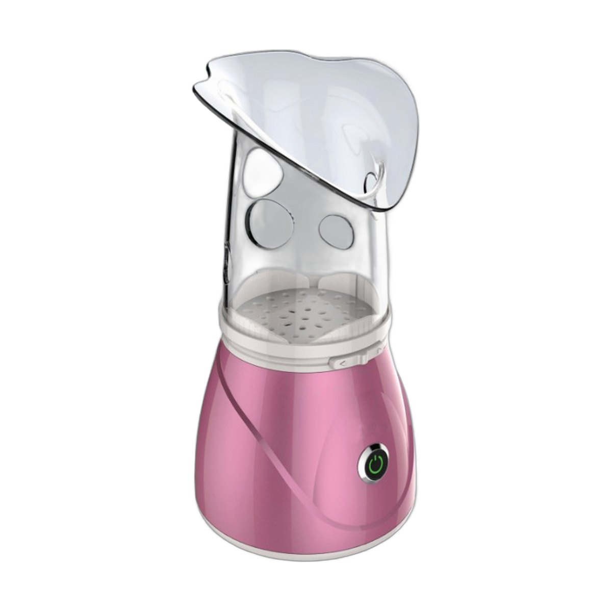 Ionic Facial Steamer