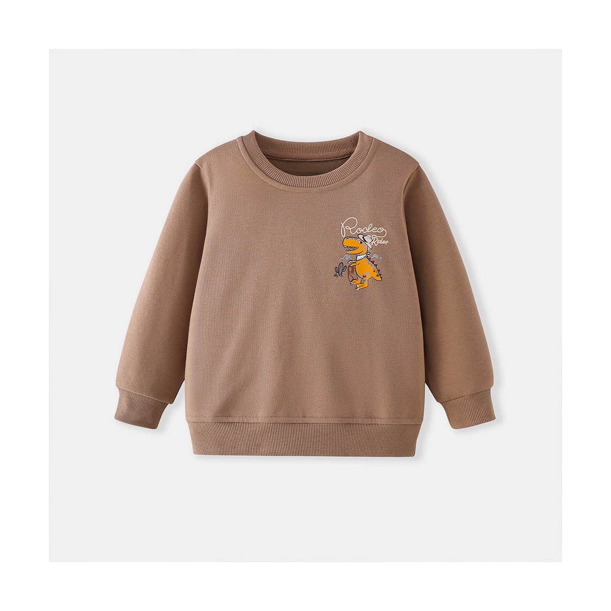 Kids Crew-neck Cartoon Hoodie Desert Dinosaur Print