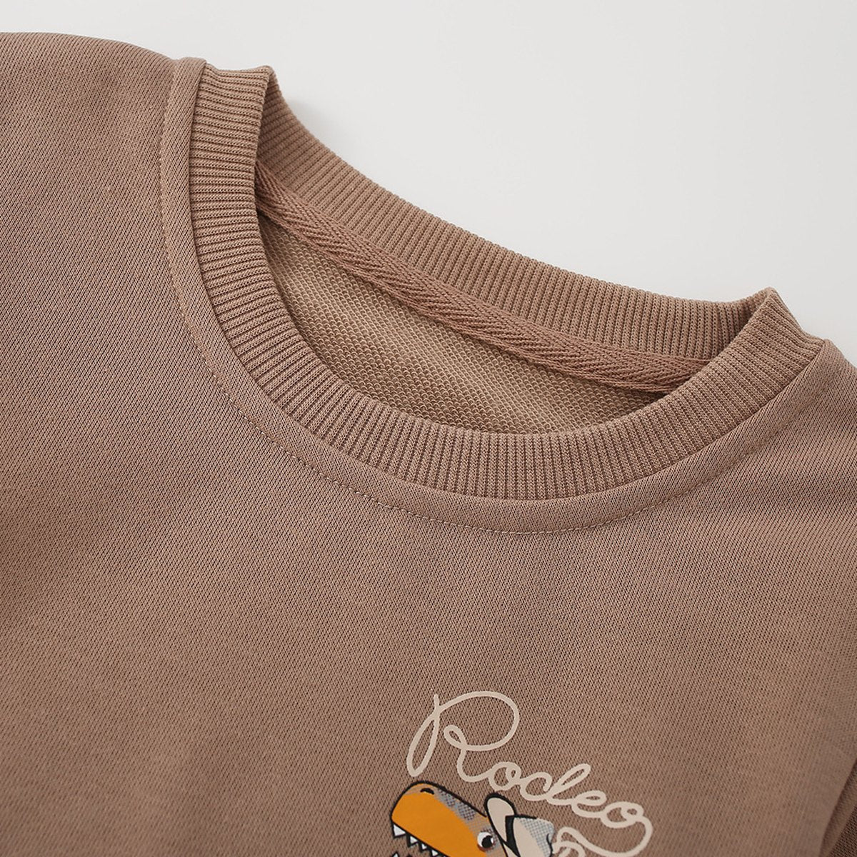 Kids Crew-neck Cartoon Hoodie Desert Dinosaur Print