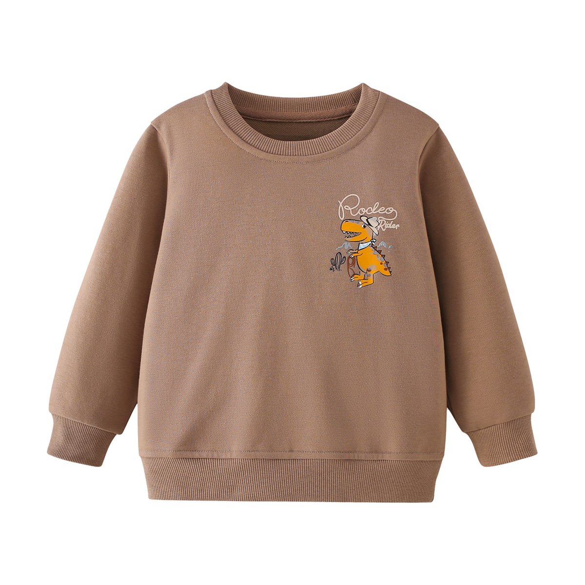 Kids Crew-neck Cartoon Hoodie Desert Dinosaur Print