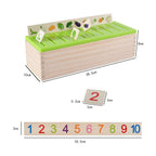 Mathematical Knowledge Classification Cognitive Matching Kids Montessori