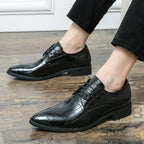 Men's Plus Size Pointed Leather Shoes