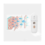 Mini Facial Mist Steamer