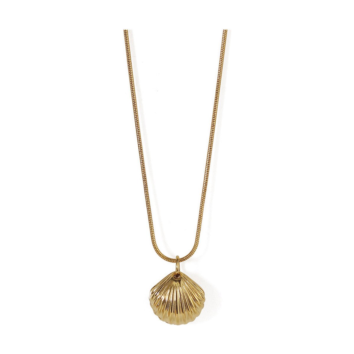 Pearl Shell Necklace