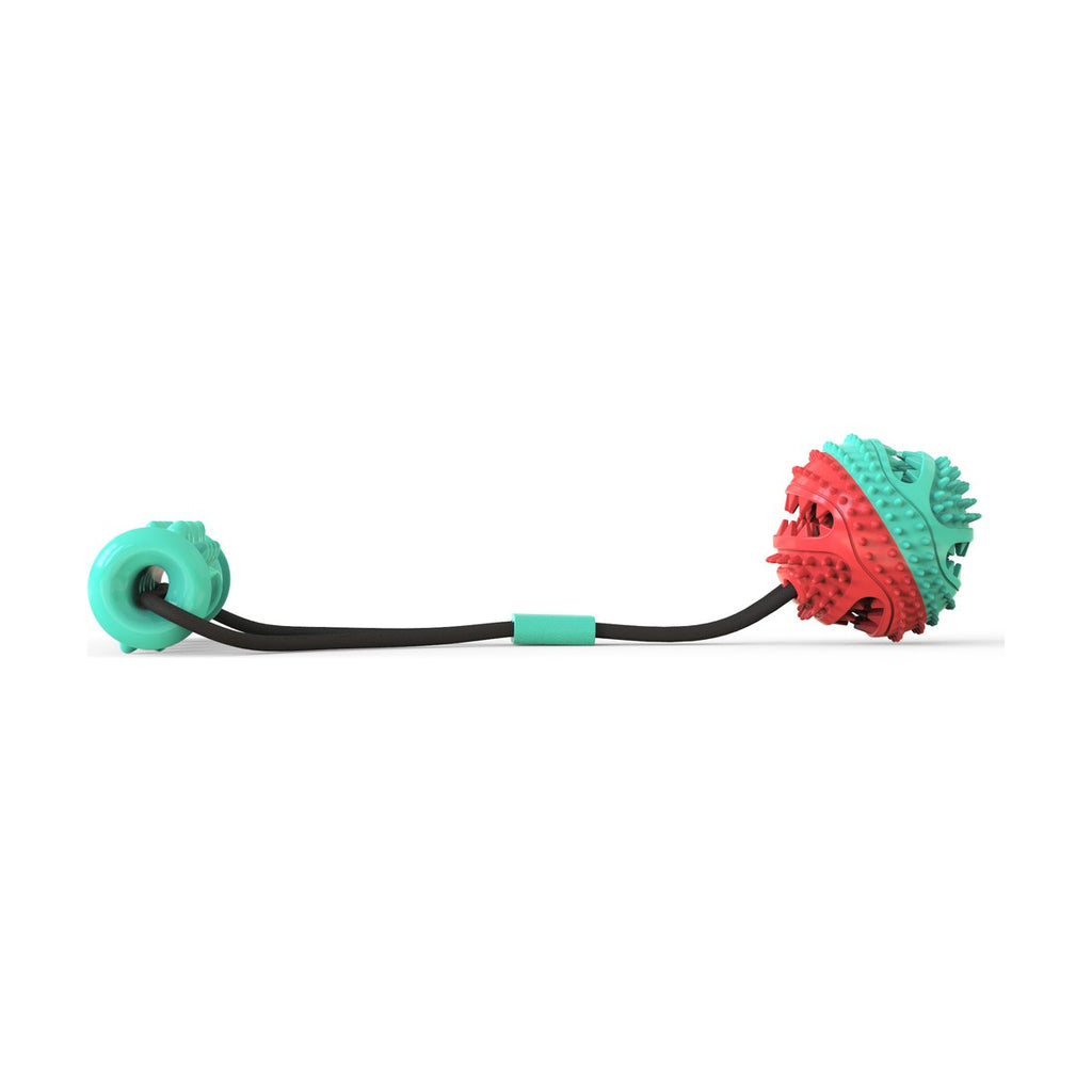 Pet Products Toy Pull Rope Training Ball