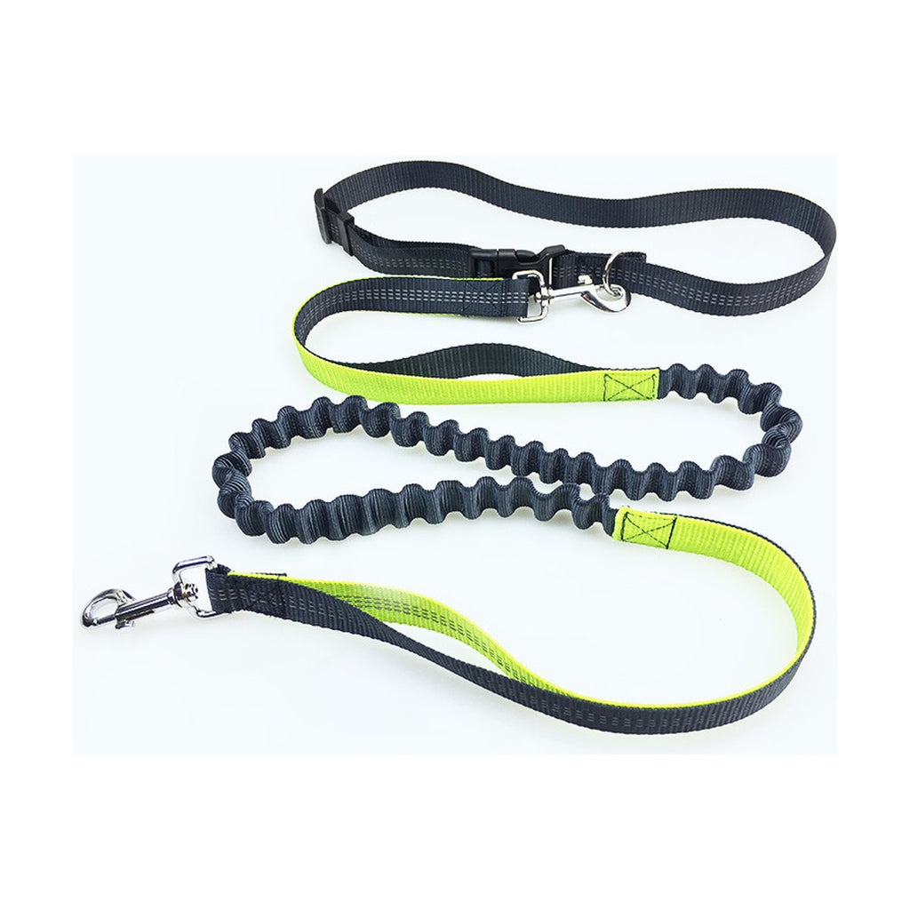 Pet Supplies Dog Running Pull Leash