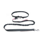 Pet Supplies Dog Running Pull Leash