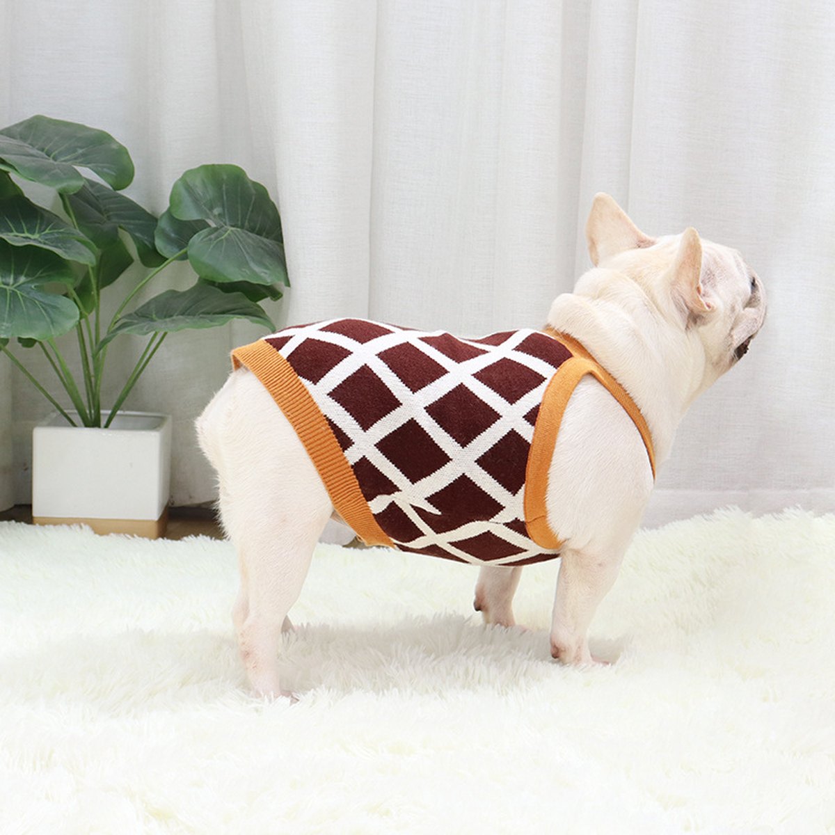 Pet Sweater Fat Dog Short Pug Sling