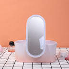 LED Mirror Makeup Case