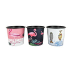 Plastic Hydroponic Plant Pot