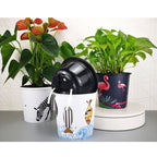 Plastic Hydroponic Plant Pot