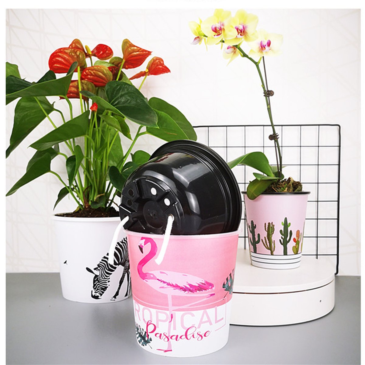 Plastic Hydroponic Plant Pot