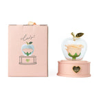Preserved Rose Gift Box