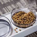 Raised Tilted Pet Bowl