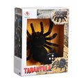 Spider Toy