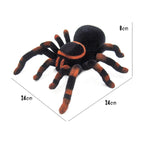 Spider Toy