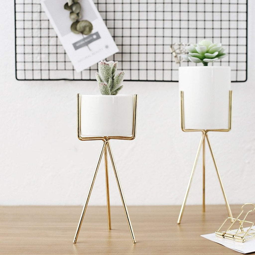 Succulent Plant Pot