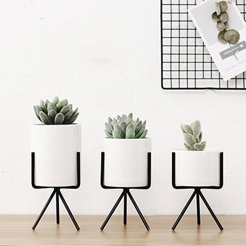 Succulent Plant Pot