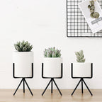 Succulent Plant Pot