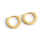 Terra Hoop Earrings