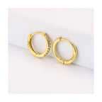 Terra Hoop Earrings