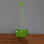 Translucent Hanging Flower Pot Hydroponic Plant