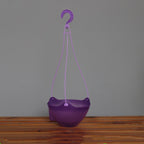 Translucent Hanging Flower Pot Hydroponic Plant