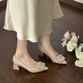 Women's French Elegant Pointed Toe Low Cut Shoes