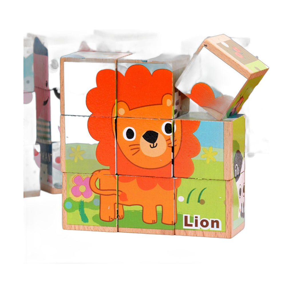 Wooden Picture Cube Puzzle